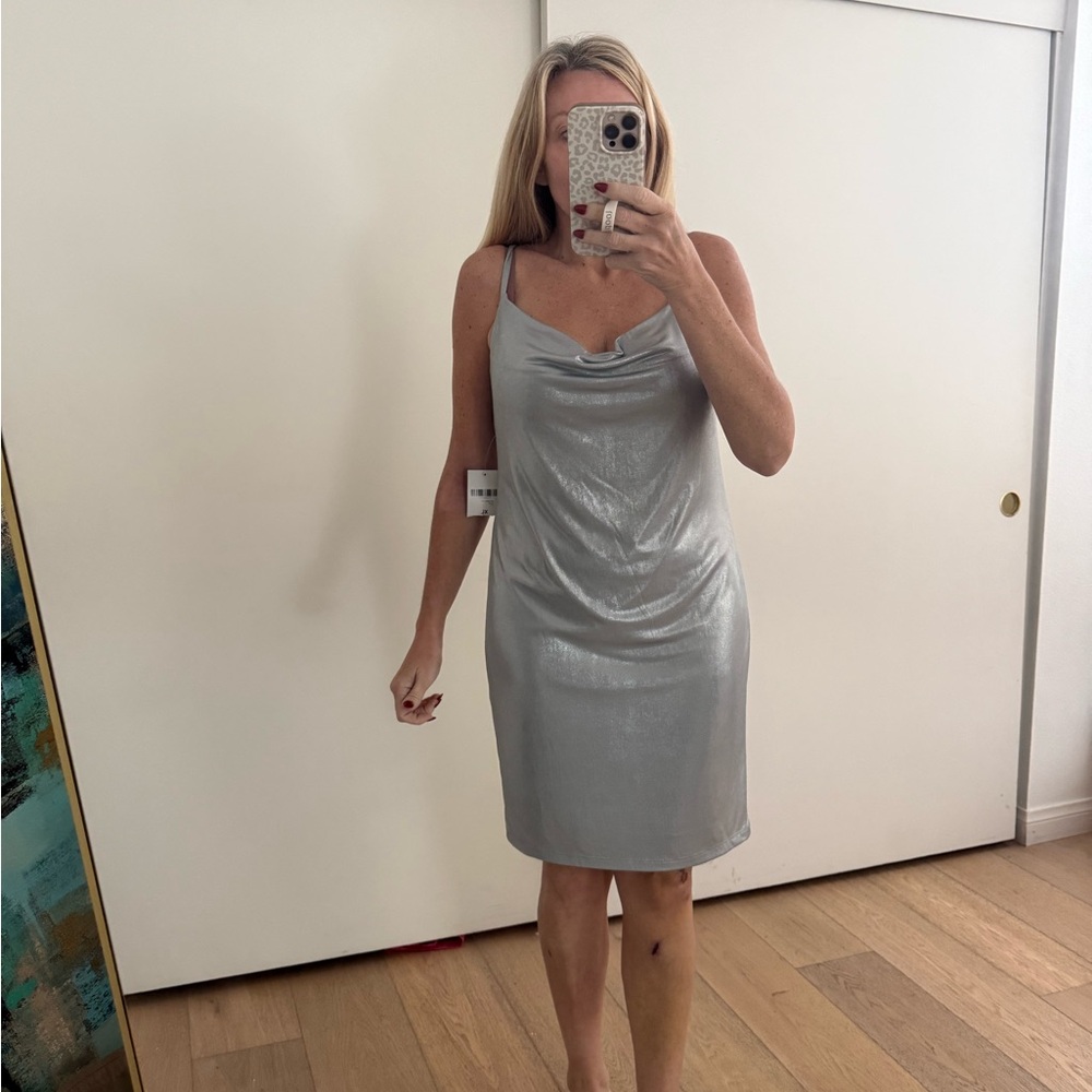 Forever 21 Shimmering Silver Dress